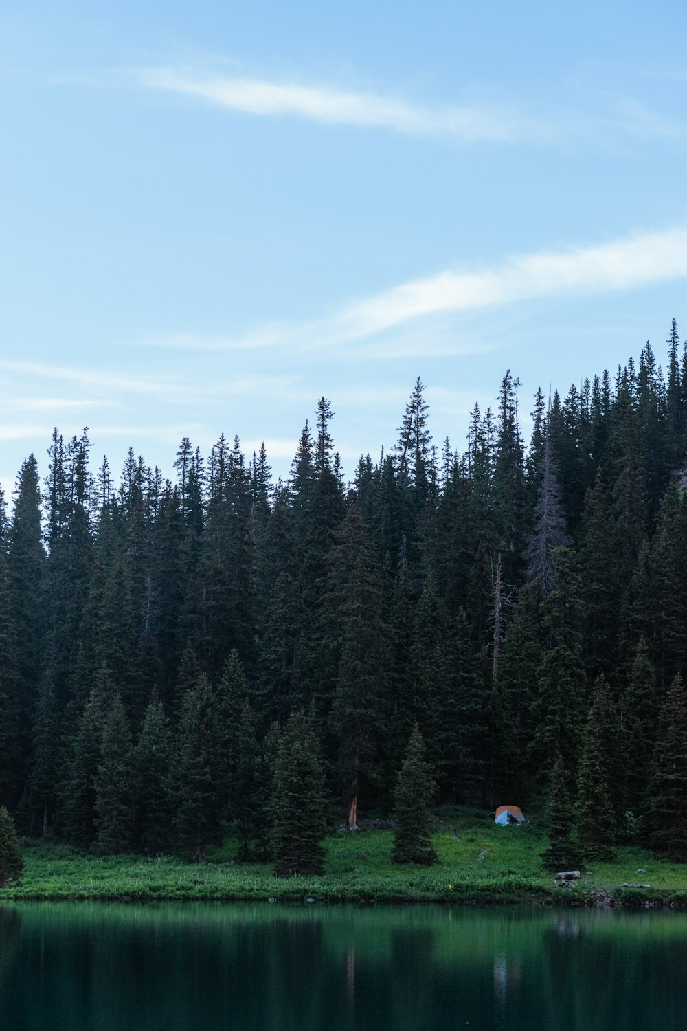 a body of water surrounded by a forest