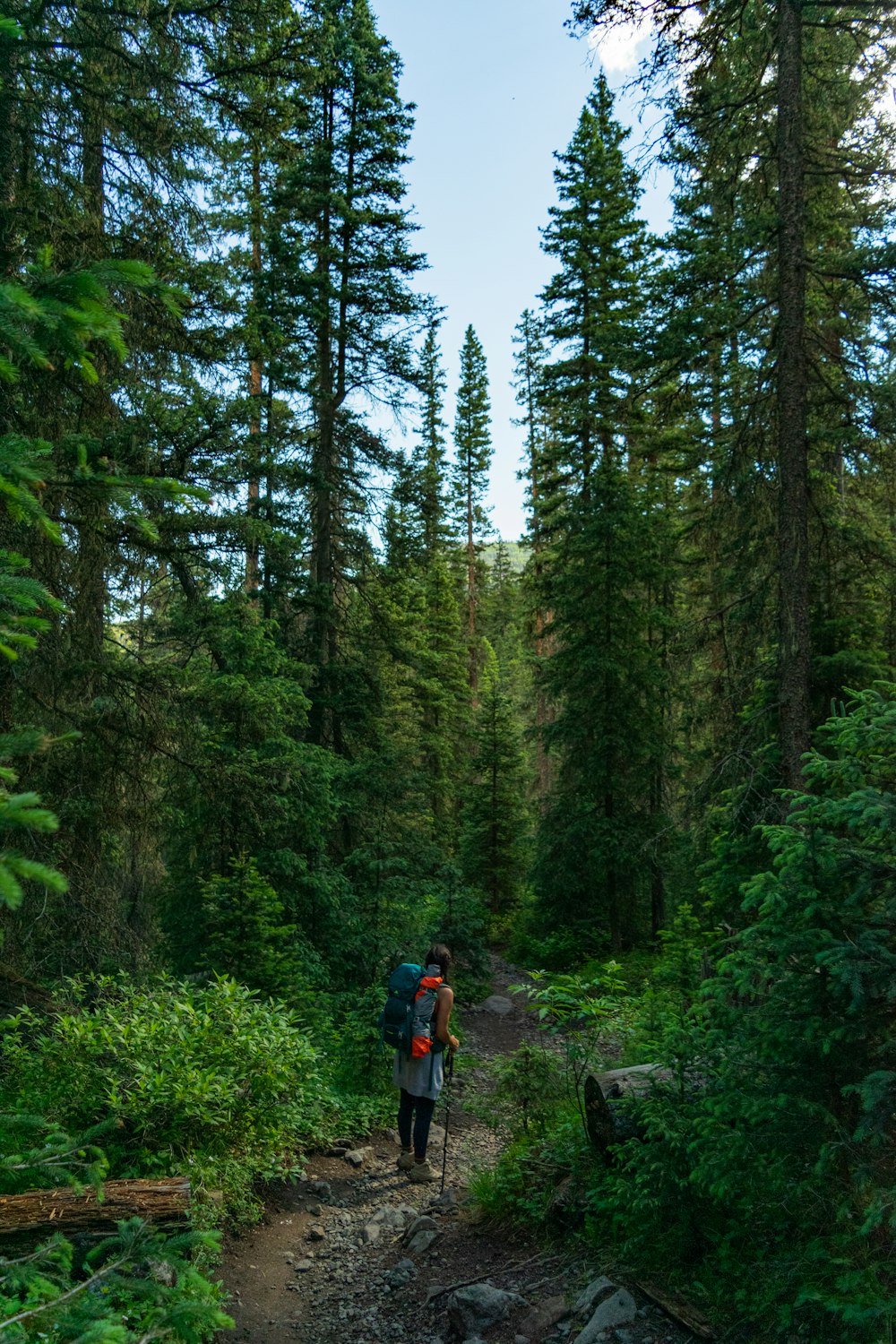 a man with a backpack walking through a forest