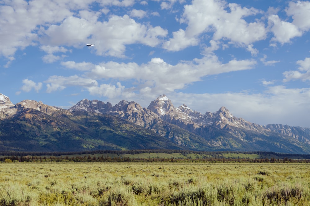 a plane flying over a field with mountains in the background