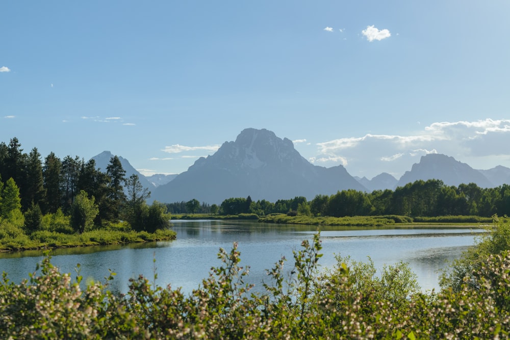 a lake surrounded by trees and mountains under a blue sky