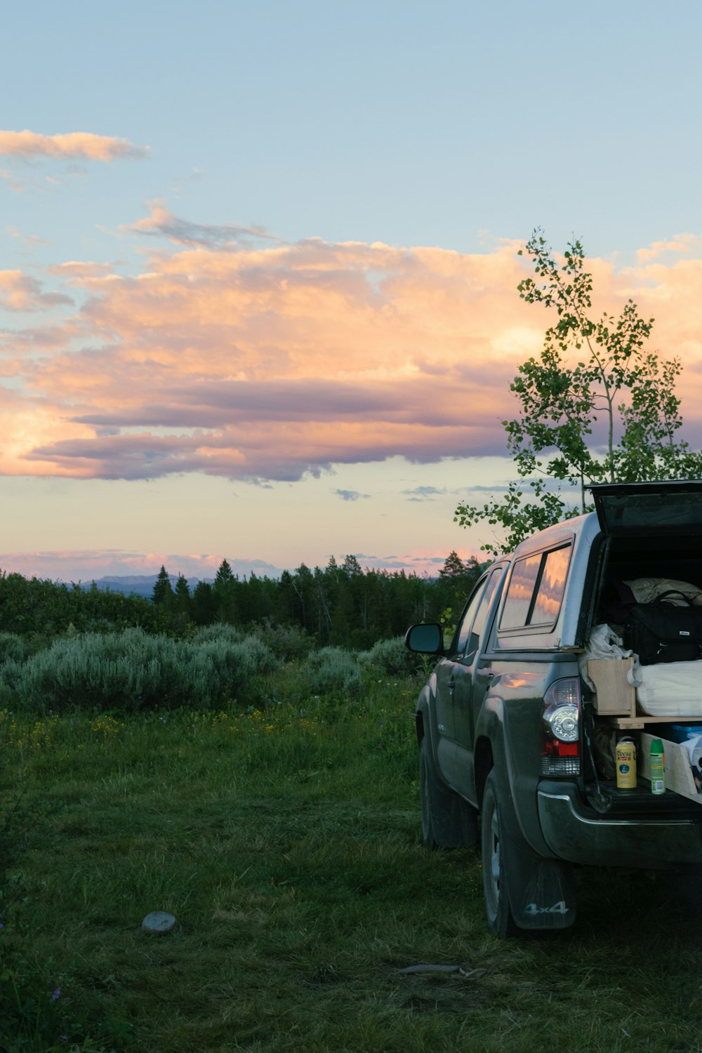 a pick up truck with its hood open in a field