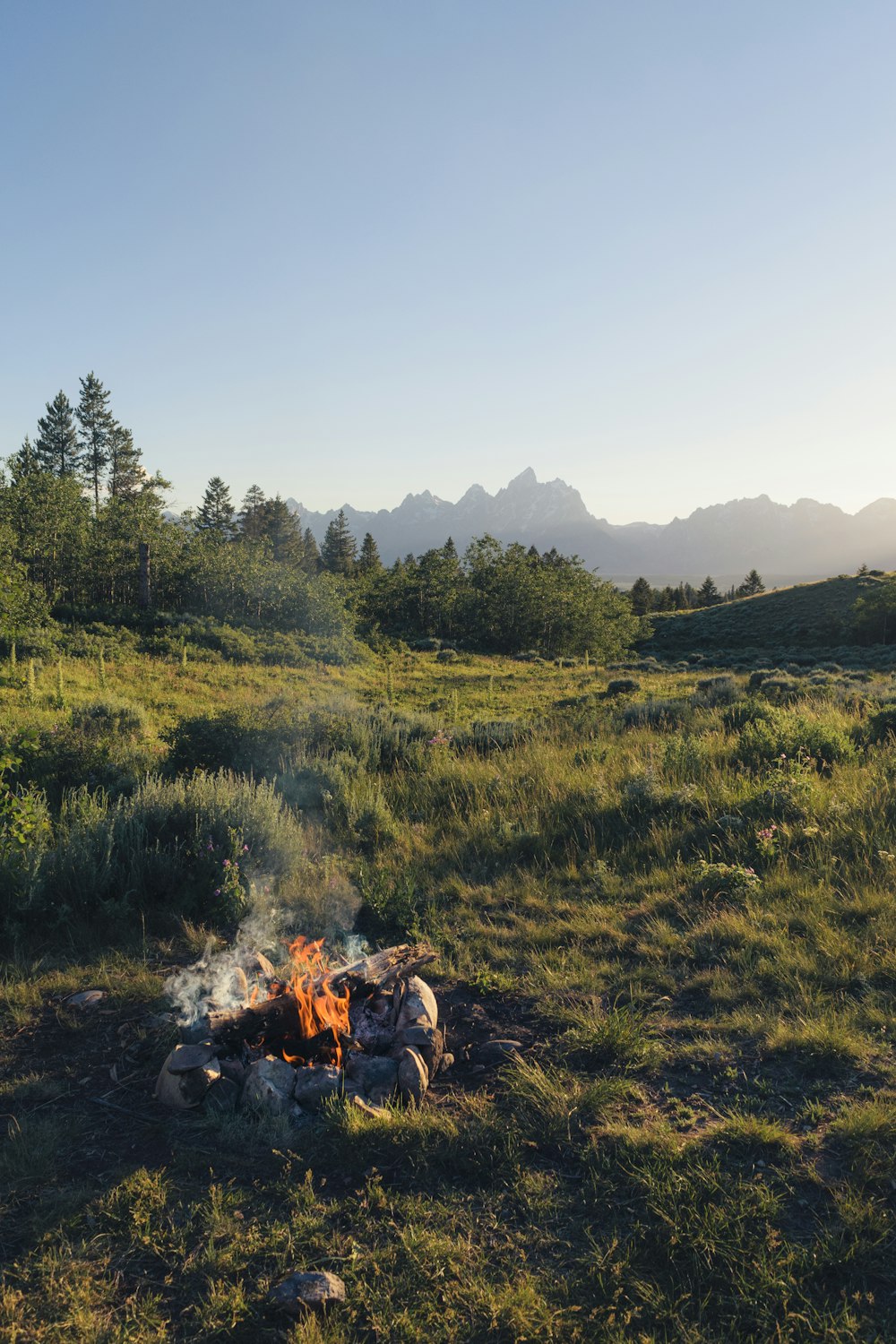 a campfire in a field with mountains in the background