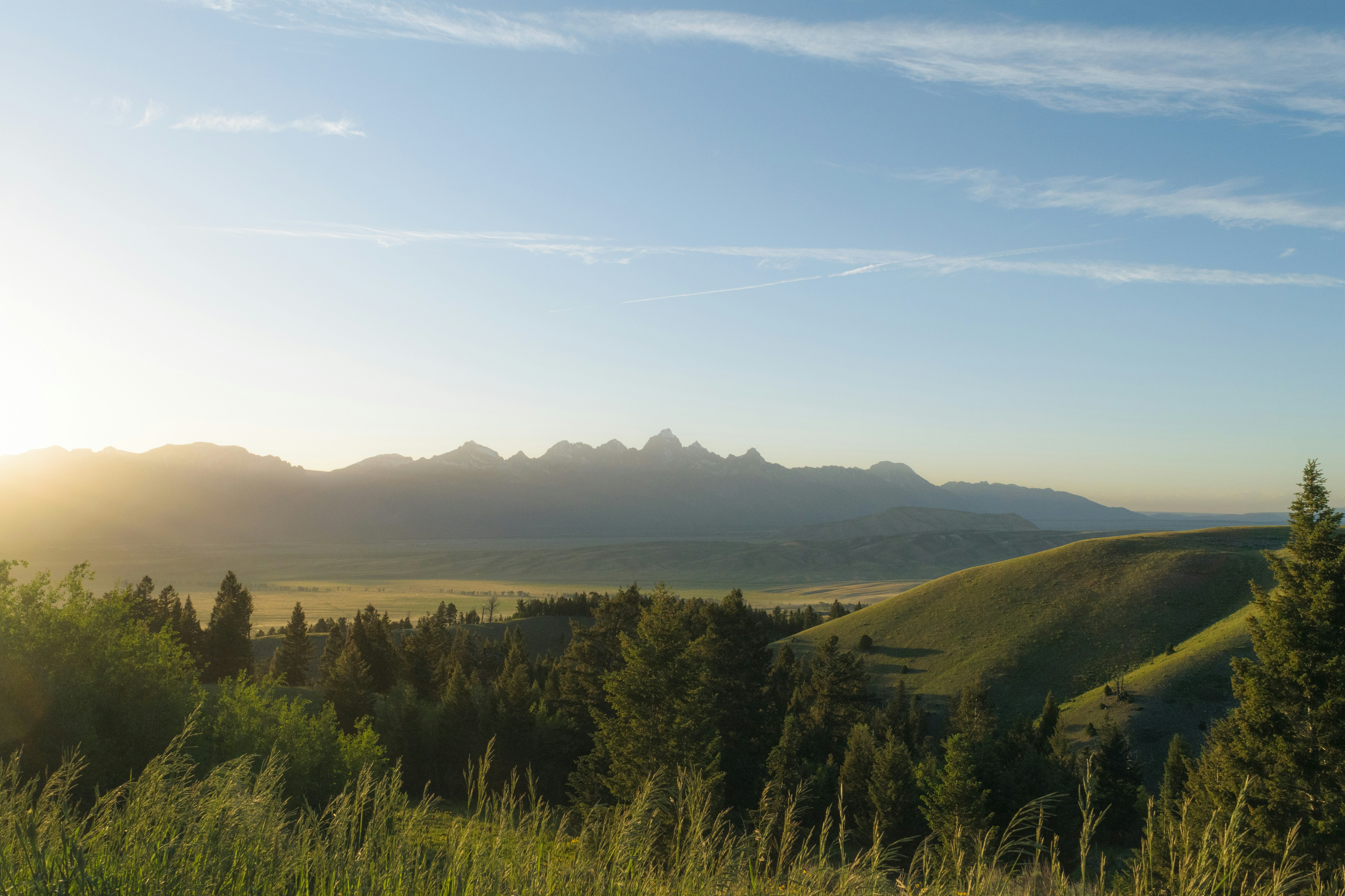 Yellowstone & Grand Teton - 5-Day Adventure