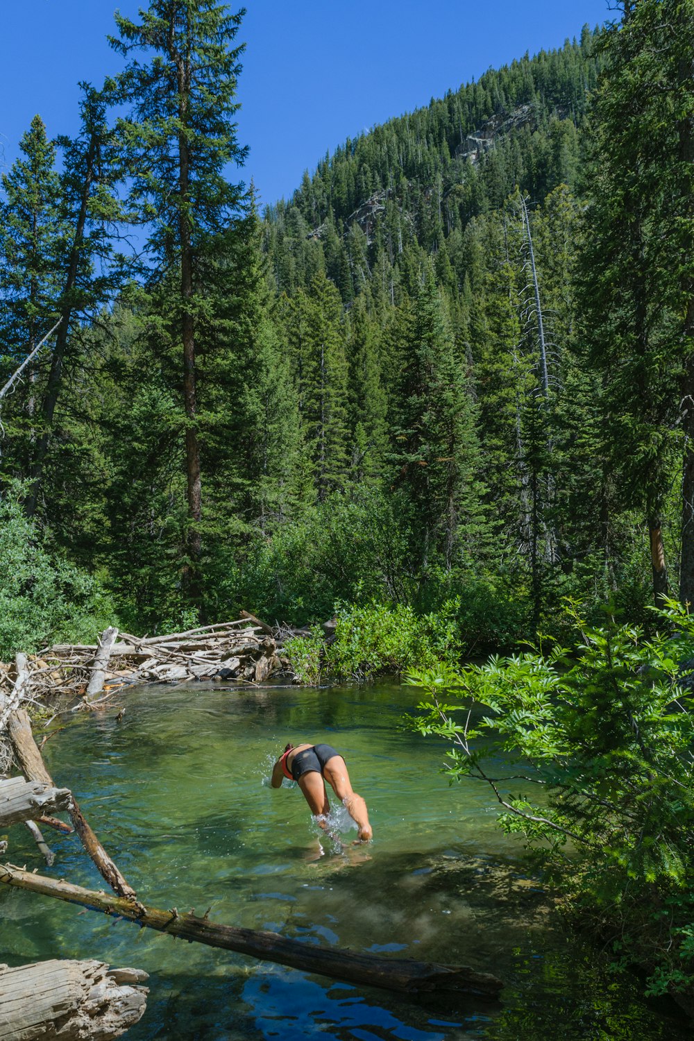 a person in a body of water surrounded by trees