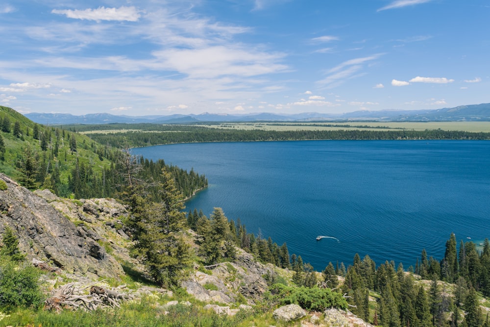 a large body of water surrounded by trees