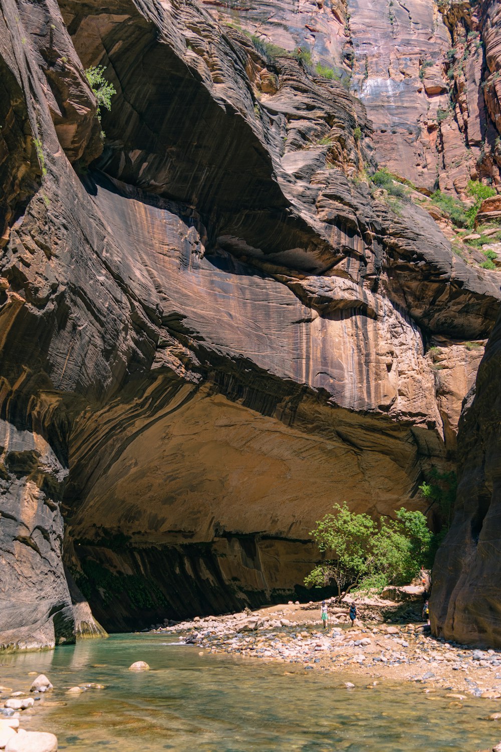 a man wading through a river in a canyon