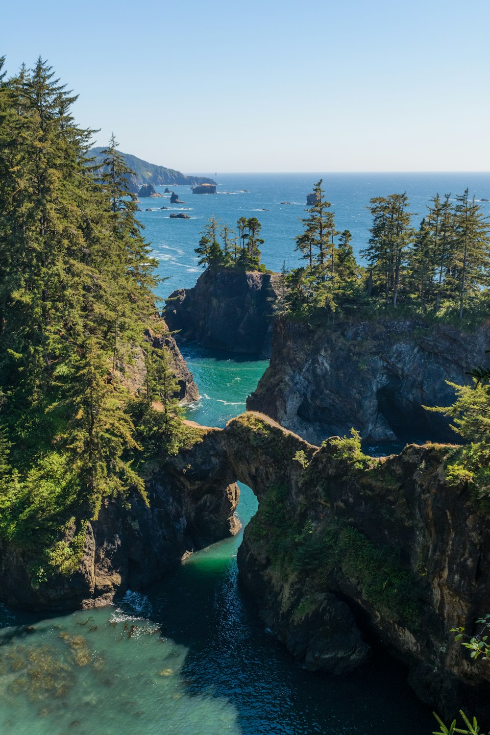 a large body of water surrounded by trees