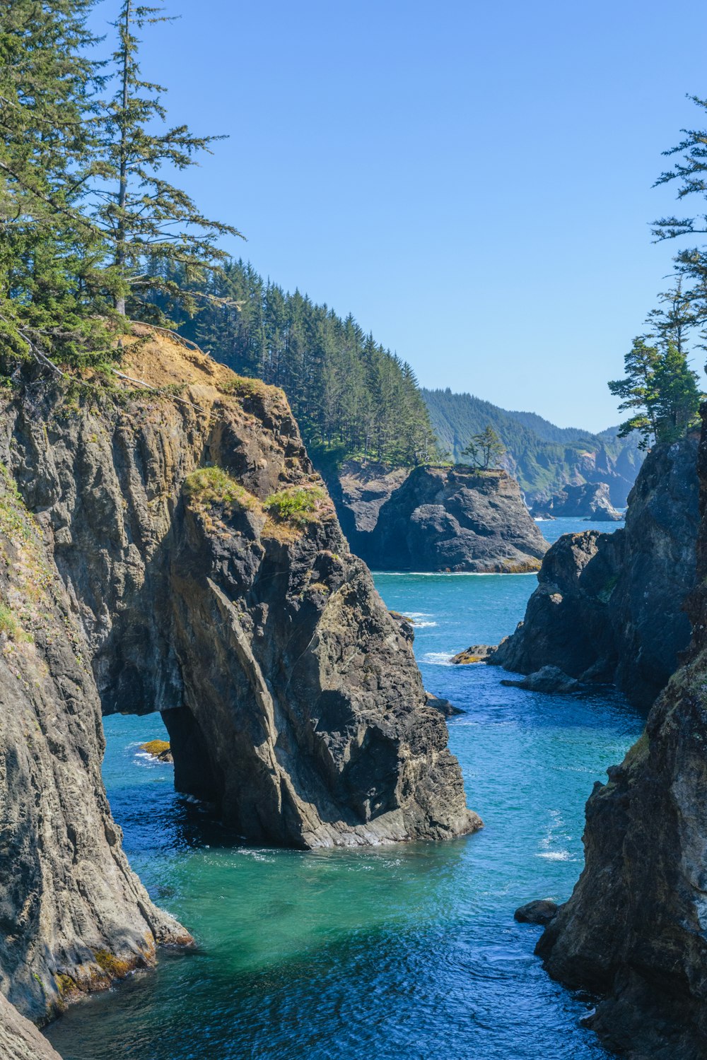 a body of water surrounded by rocks and trees