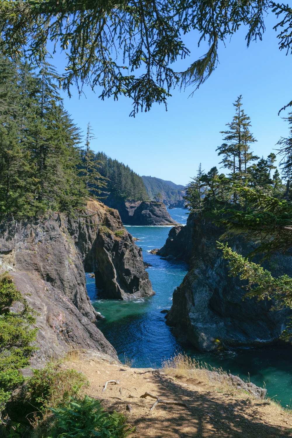 a scenic view of a body of water surrounded by trees