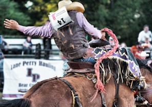 a man riding on the back of a brown horse