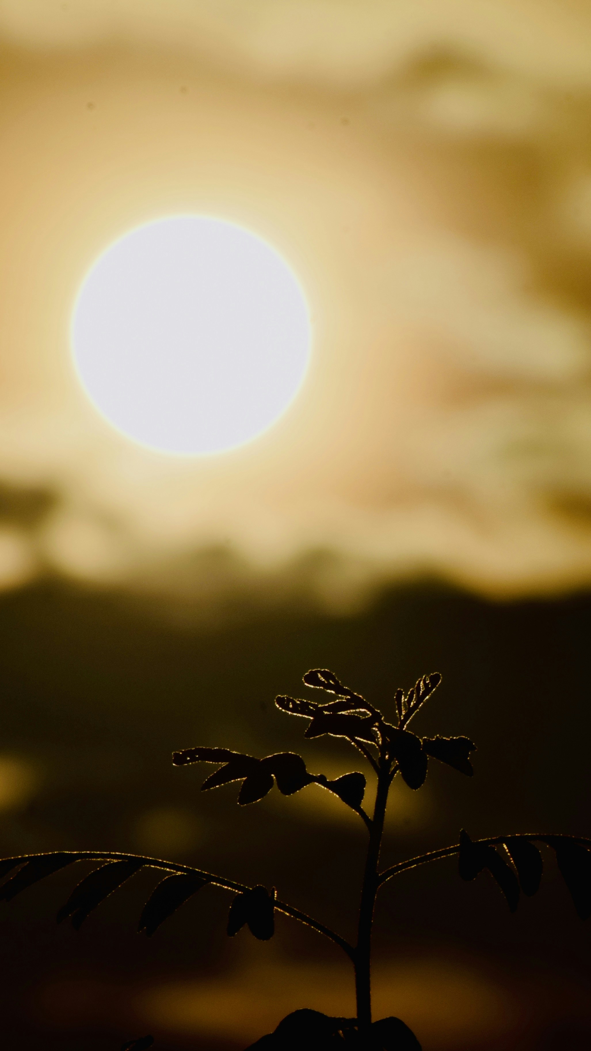 Photo by theushakiran