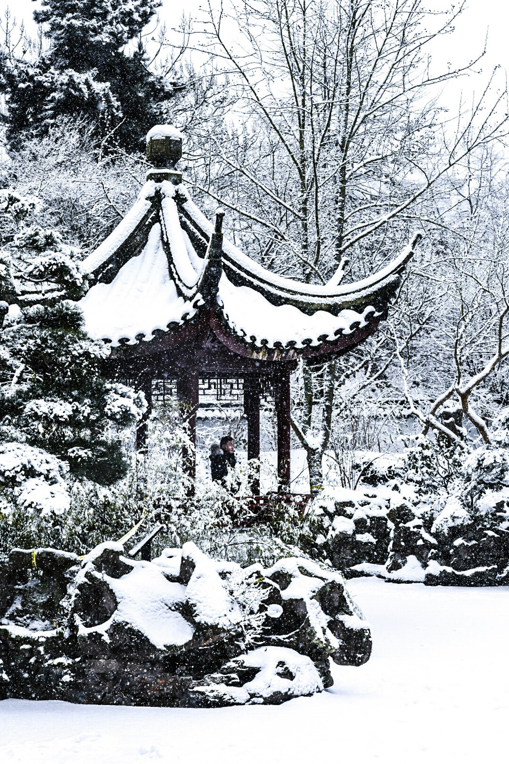 A gazebo in the middle of a snow covered park photo – Free Car Image on ...