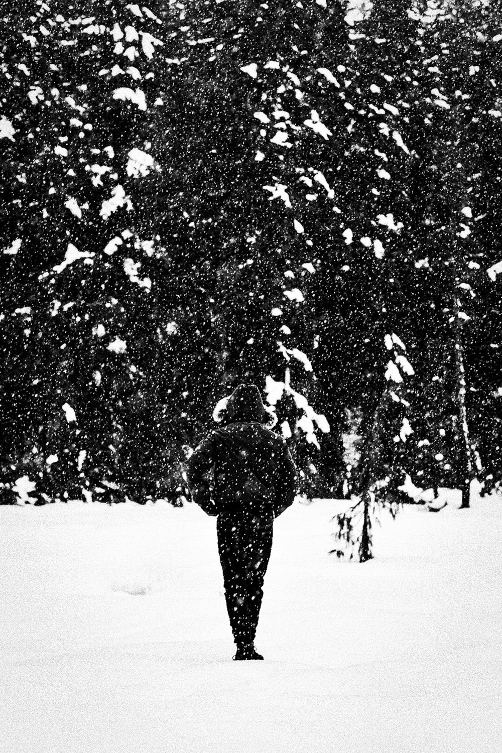 a person walking in the snow in front of a tree