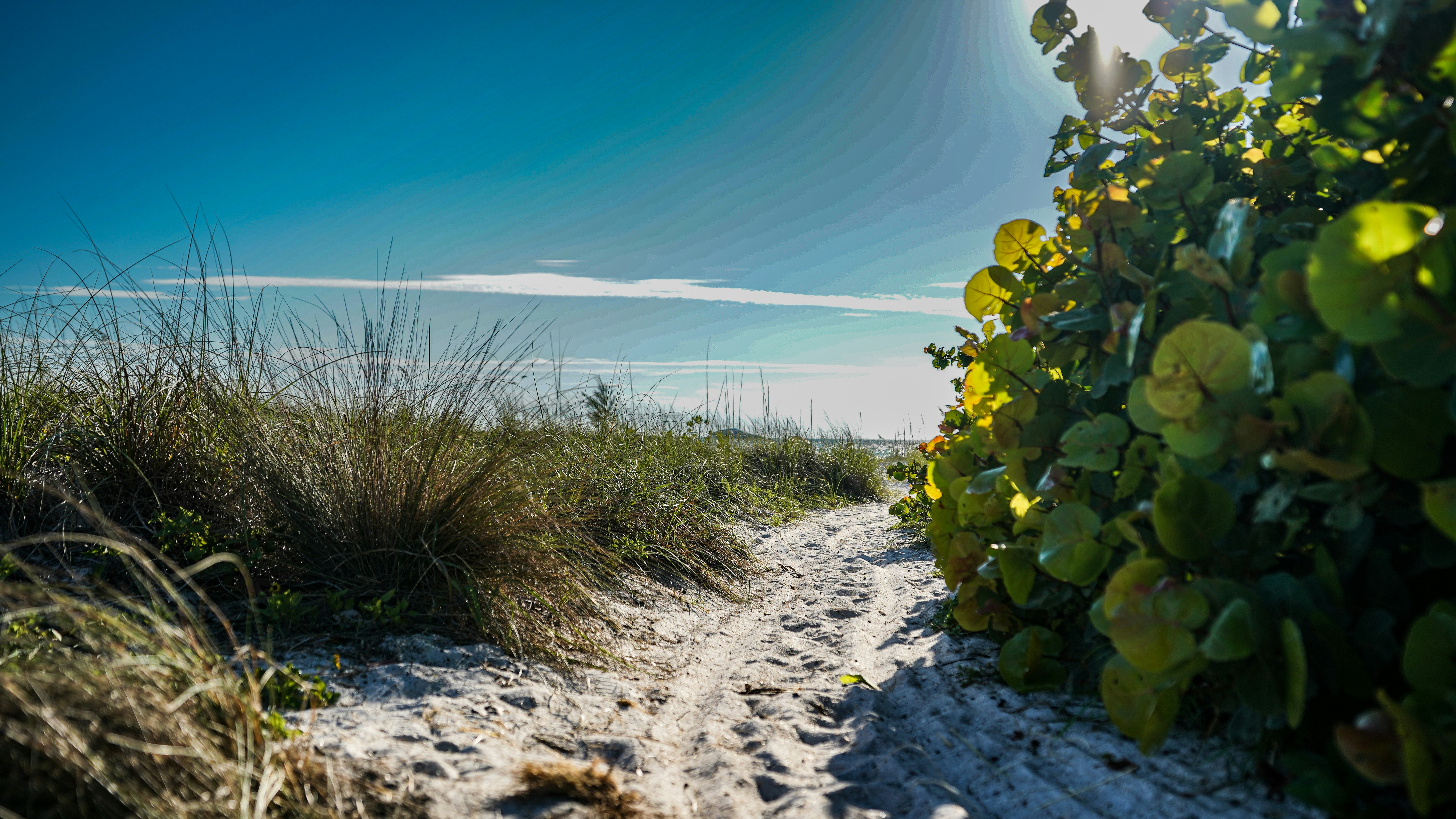 a sandy path leading to the ocean on a sunny day