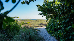 Peaceful sandy path leading through greenery towards the Baltic Sea shore.