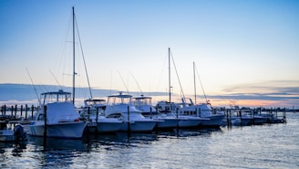 An aerial view of various boats docked at a marina during sunset.