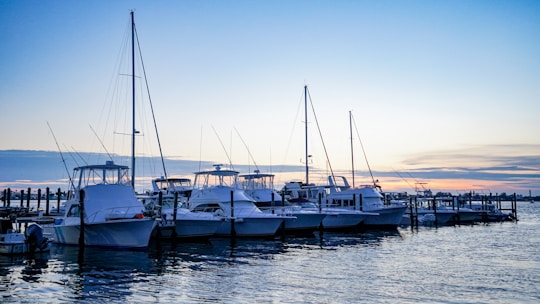 An aerial view of various boats docked at a marina during sunset.