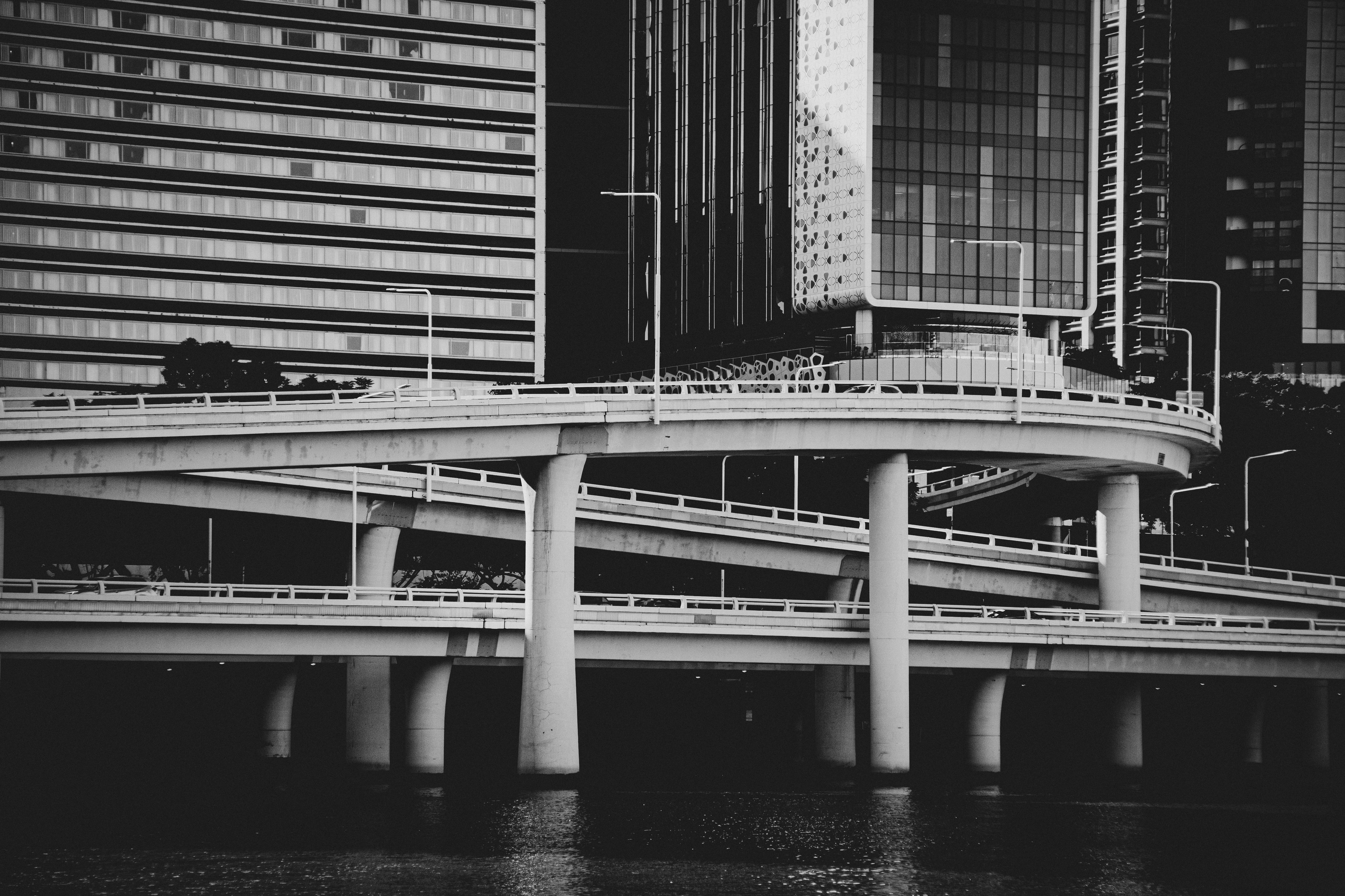 Photo by rhynophotography