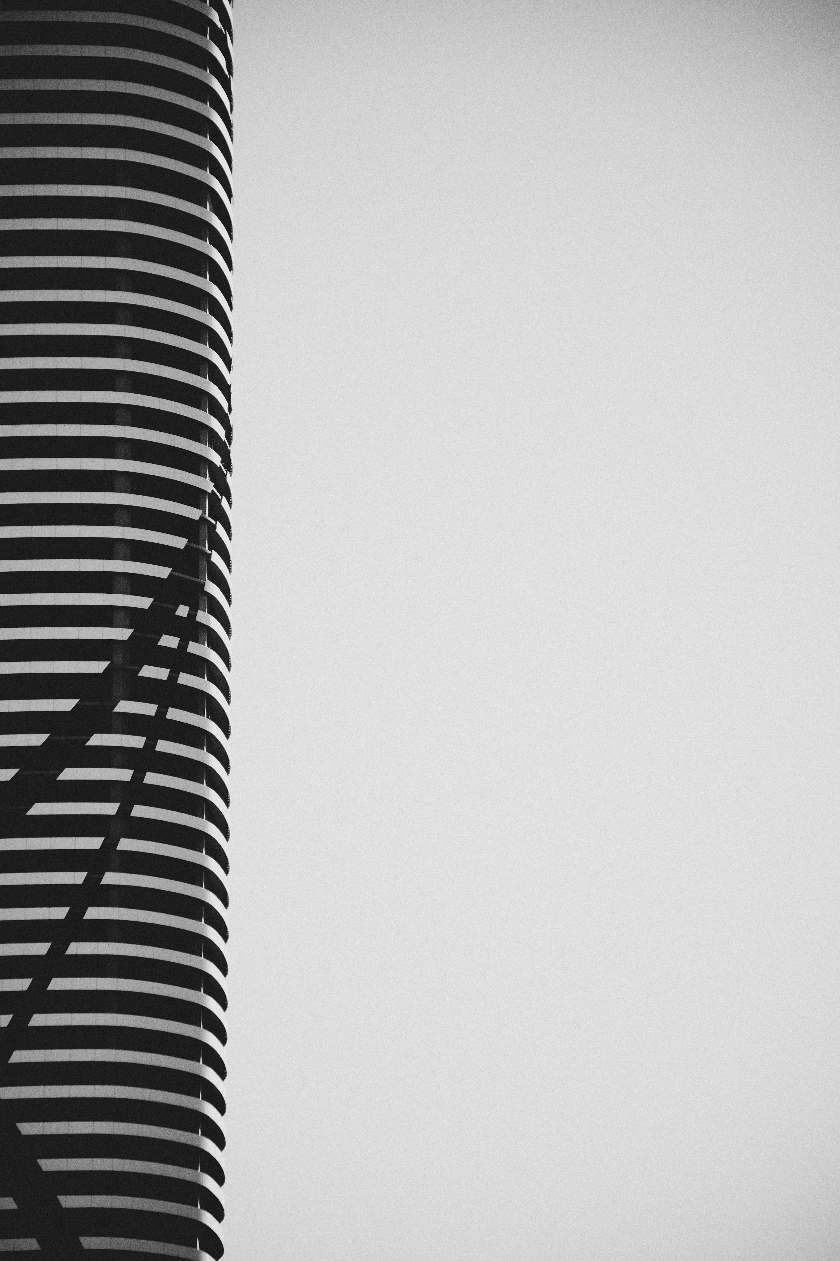 Photo by rhynophotography