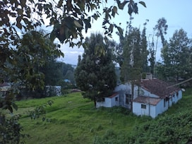 Front view of Casa Sierra de los Padres surrounded by tall trees and natural landscaping.