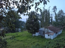A rustic white house with a red tiled roof is nestled among tall trees and lush green grass. The scene is surrounded by dense vegetation, creating a serene and idyllic atmosphere. Branches with leaves frame the top of the image, adding to the natural setting.