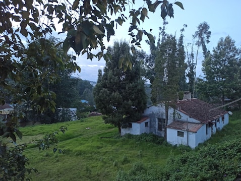 A rustic white house with a red tiled roof is nestled among tall trees and lush green grass. The scene is surrounded by dense vegetation, creating a serene and idyllic atmosphere. Branches with leaves frame the top of the image, adding to the natural setting.