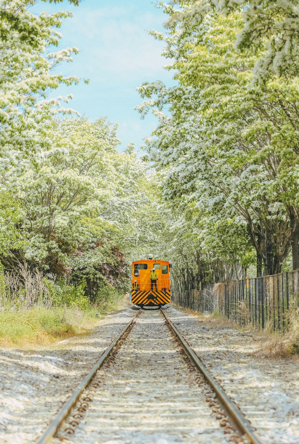 a train traveling down train tracks next to a forest