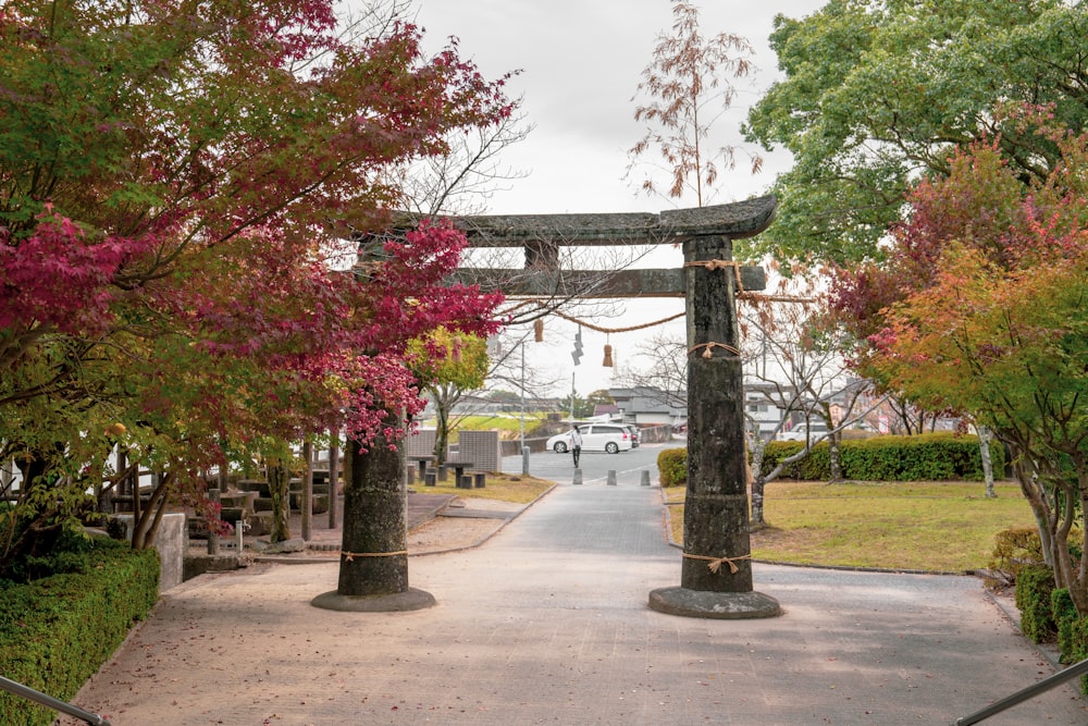 a gate in a park surrounded by trees