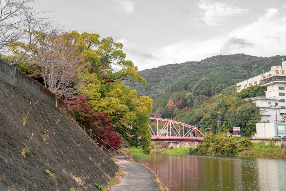 a view of a river with a bridge in the background