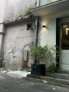 An exterior wall of a building features a mix of materials and textures, including faded paint and graffiti. Vegetation is visible in crevices and a planter near the steps. A light fixture illuminates the wall, and a door leads into the building.