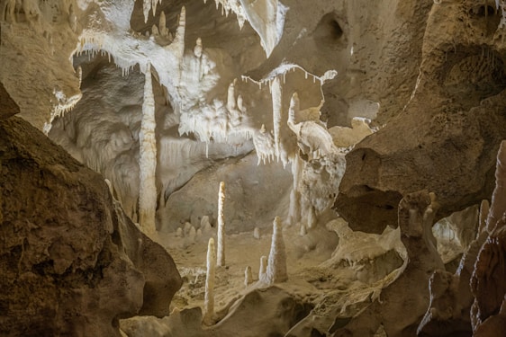A cavern with intricate limestone formations featuring stalactites hanging from the ceiling and stalagmites rising from the ground. The surrounding walls are rough and mottled, creating an appearance of organic growth. The lighting casts soft shadows, highlighting the textures and giving a sense of depth.