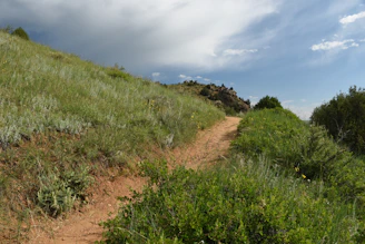 Plot of green land with gentle hills and a dirt path leading through it.