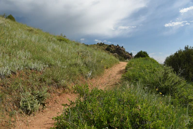 Plot of green land with gentle hills and a dirt path leading through it.