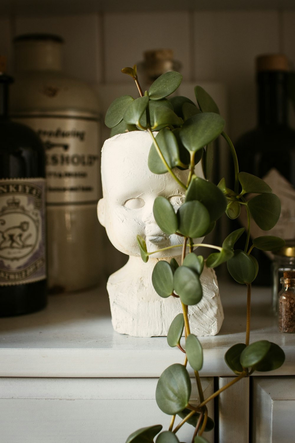 a plant is growing out of a white bust