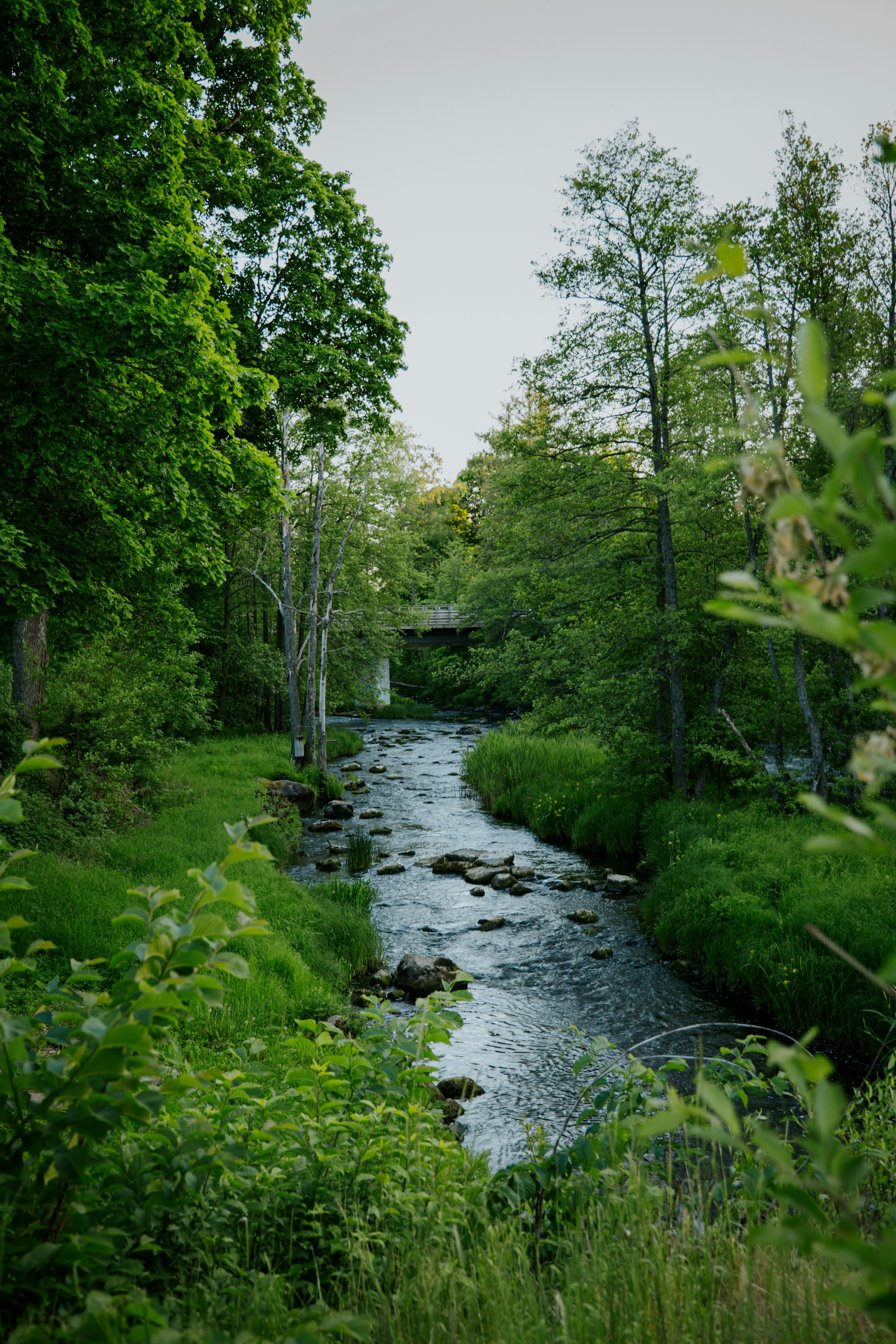 Photo by fredrikposse