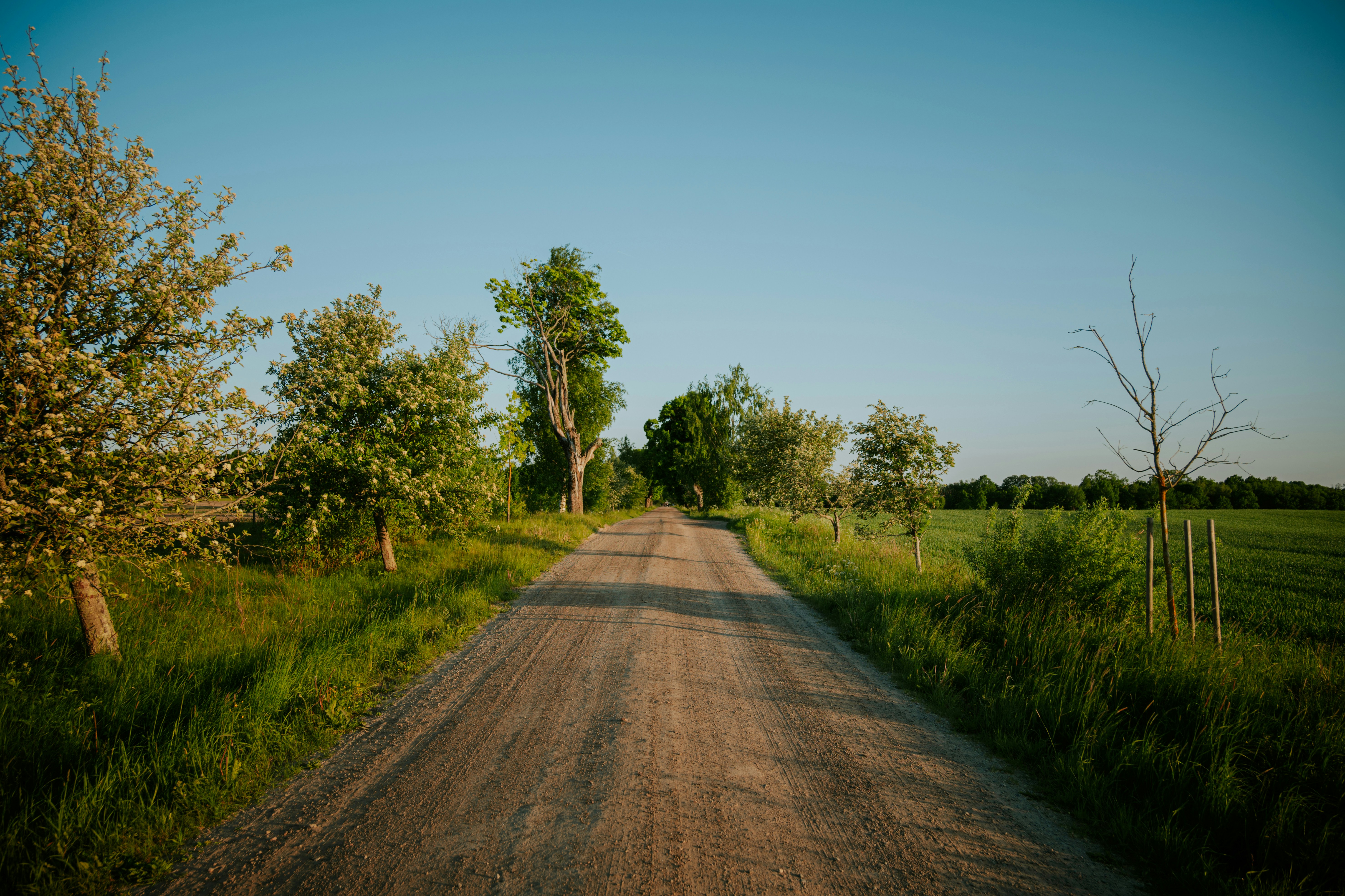 Photo by fredrikposse