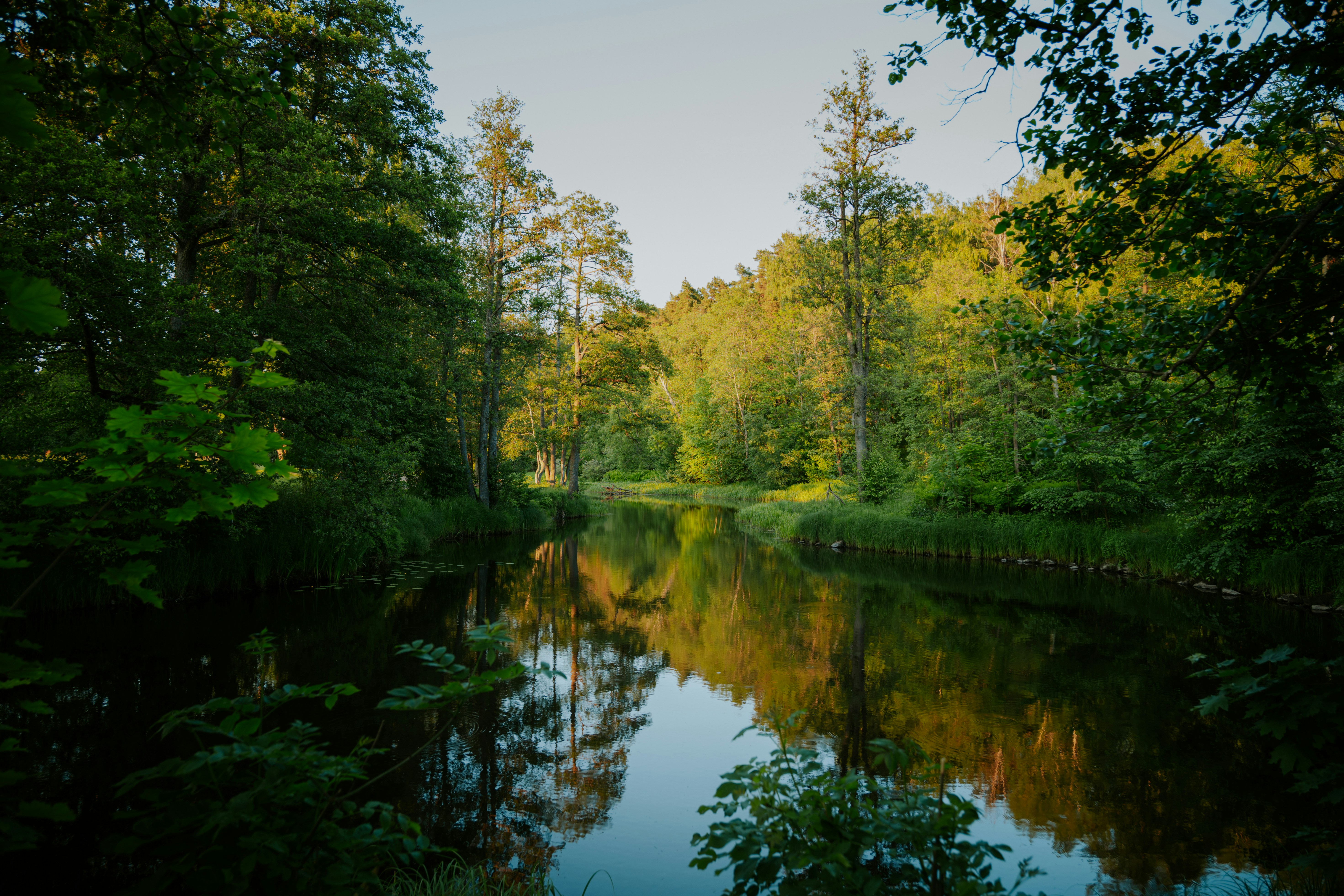 Photo by fredrikposse