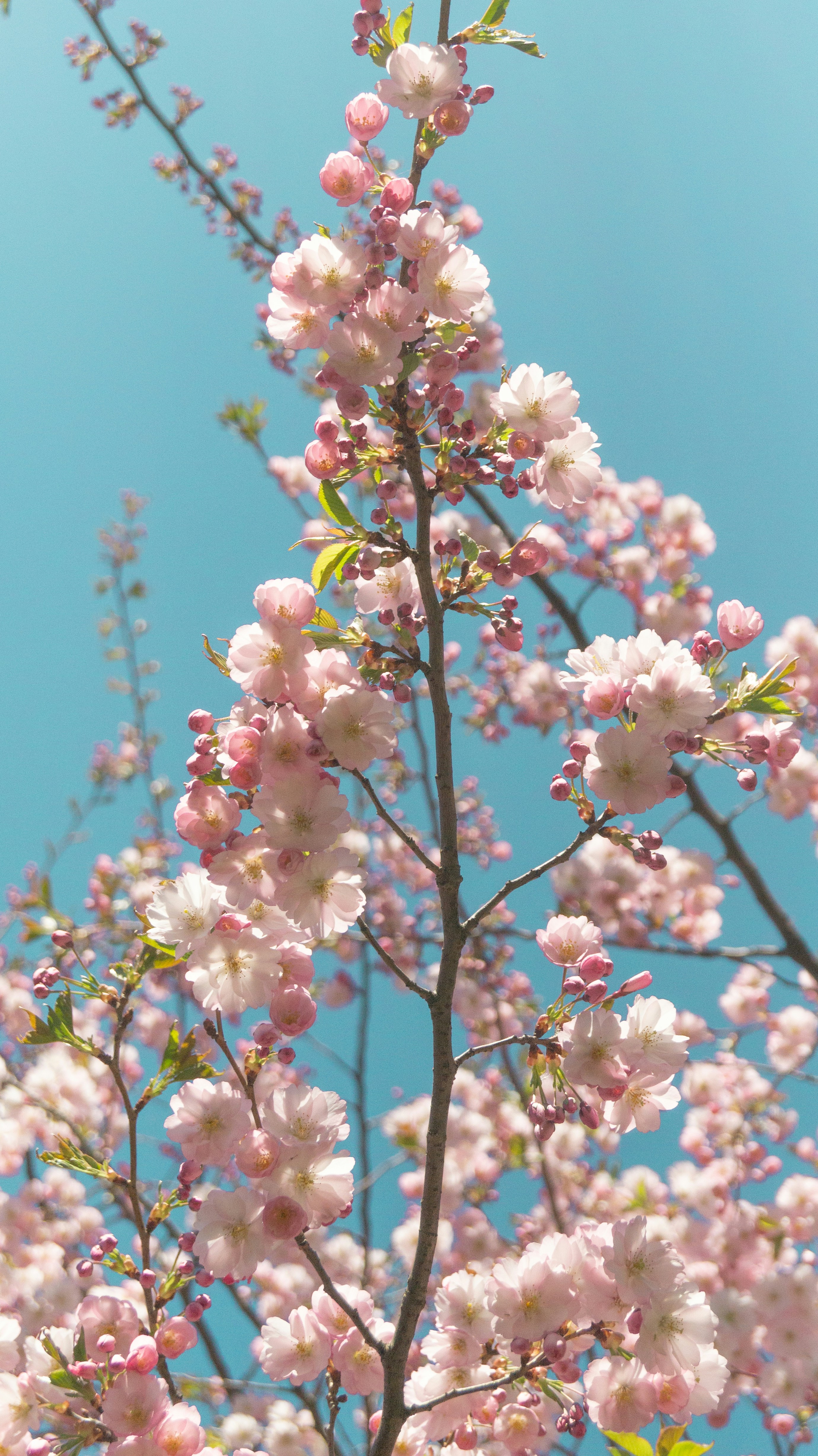 Photo by alenakalashmatina