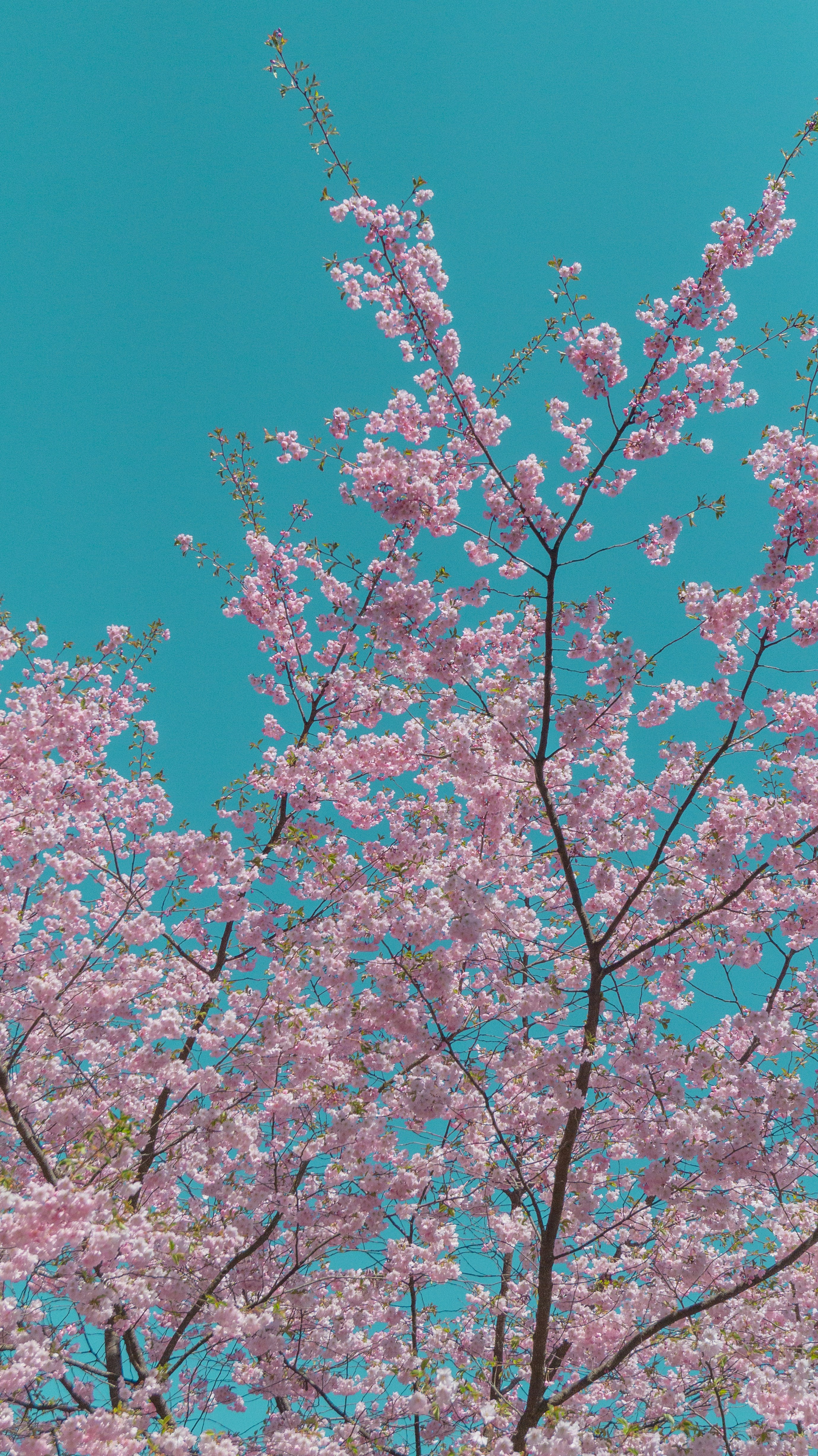 Photo by alenakalashmatina