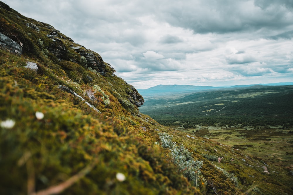 une vue d’une colline herbeuse avec des montagnes en arrière-plan