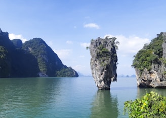 a body of water surrounded by mountains and trees