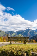 a wooden bench sitting on top of a lush green hillside