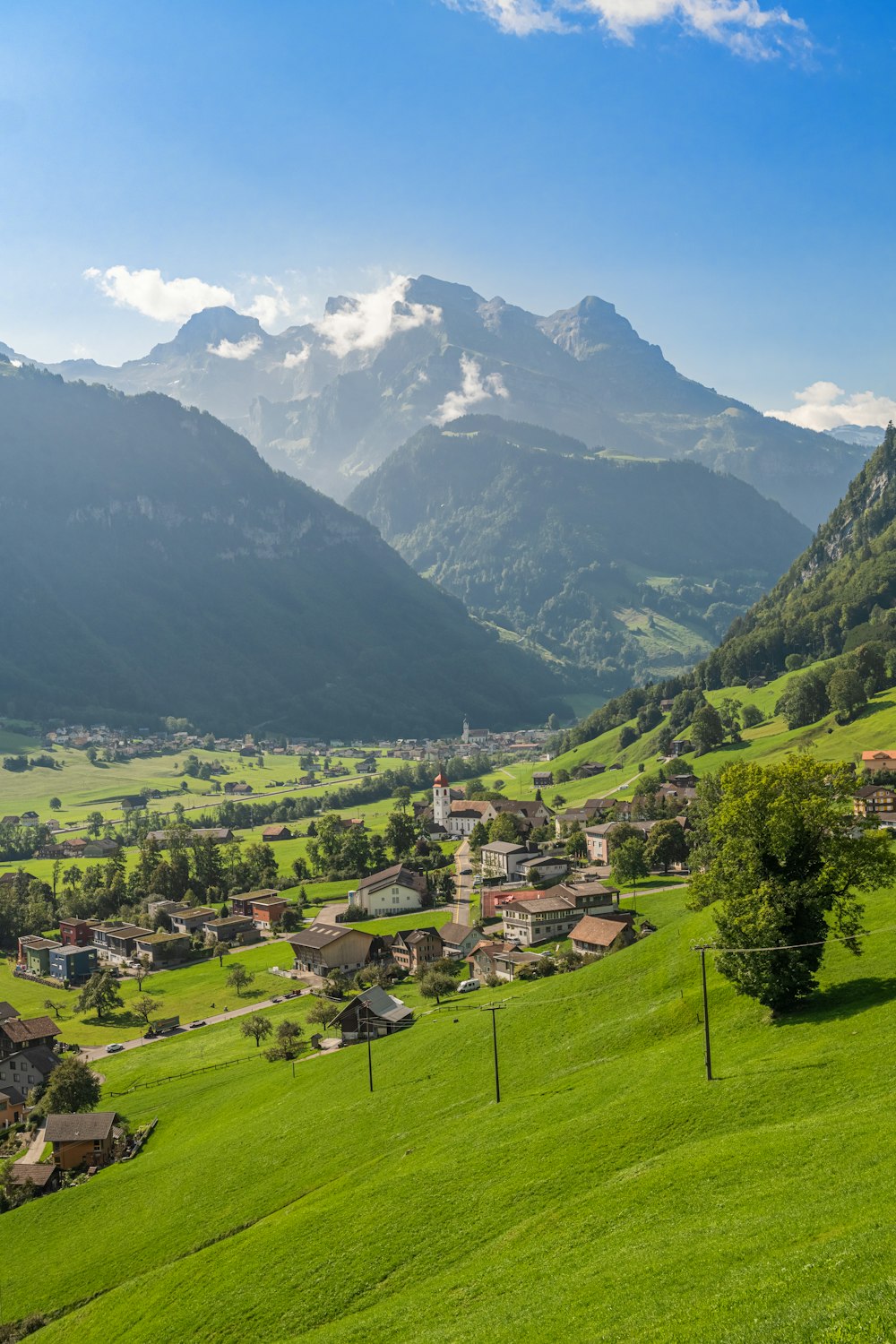 a lush green hillside with houses and mountains in the background