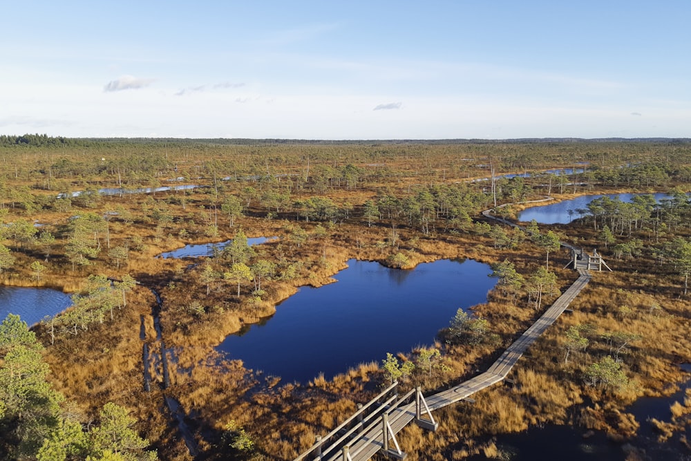 an aerial view of a boardwalk in a swampy area