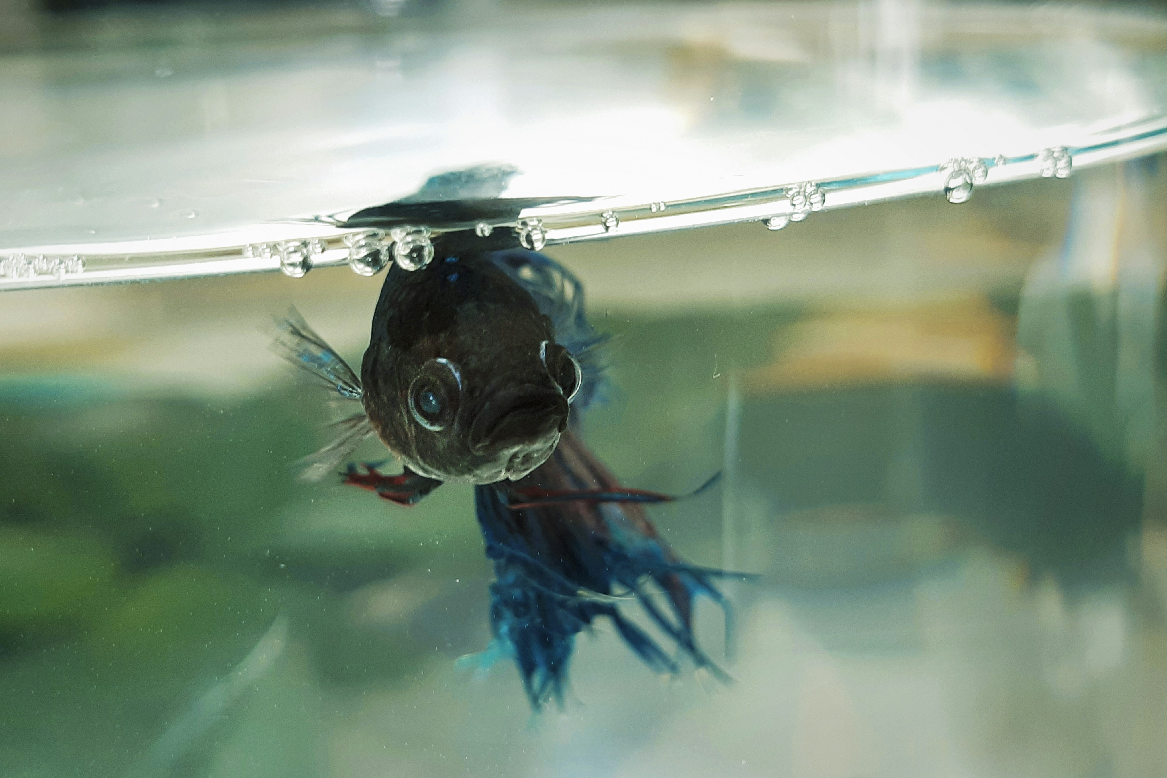 Photo by meijere_liga