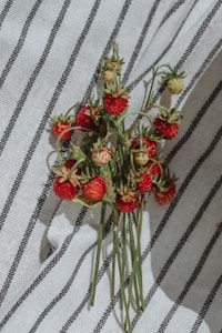 Dâu Tây Tươi