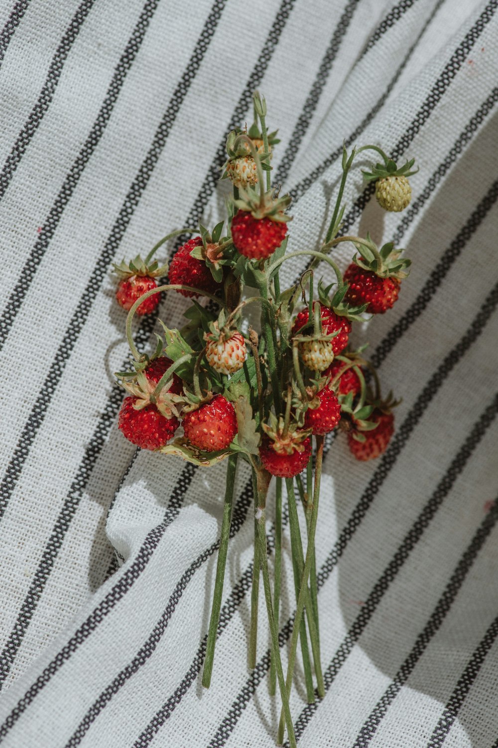 a bunch of strawberries sitting on top of a table