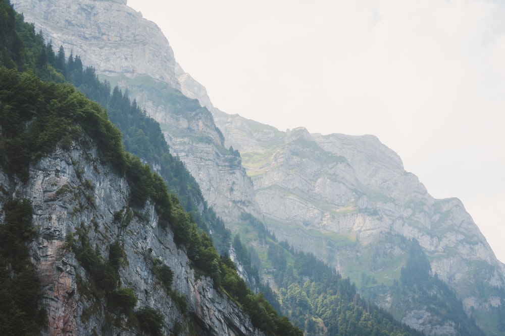 a view of a mountain with trees on the side of it