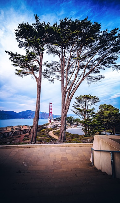 A peaceful open space in the San Francisco Bay Area preserved through the foundation’s efforts