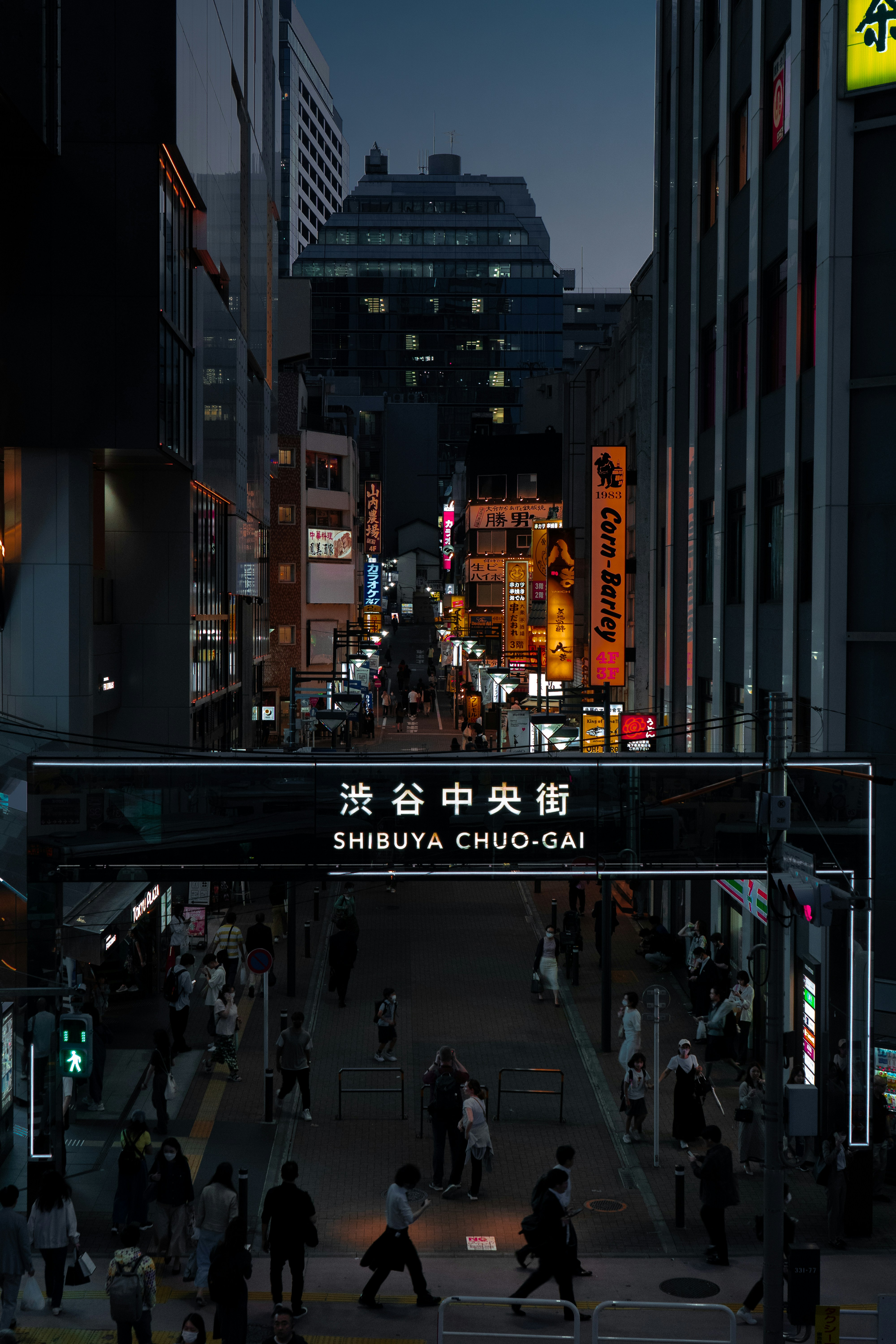 a group of people crossing a street at night